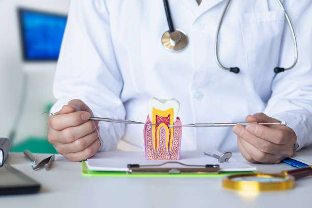 Best Emergency Broken Tooth Repair in Endwell, NY